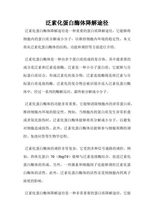 泛素化蛋白酶体降解途径