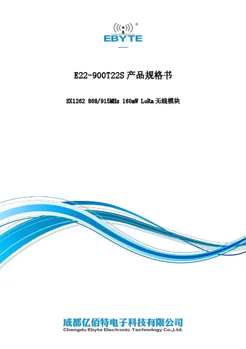E22-900T22S 产品规格书说明书