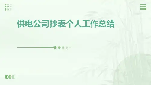 供电公司抄表个人工作总结PPT