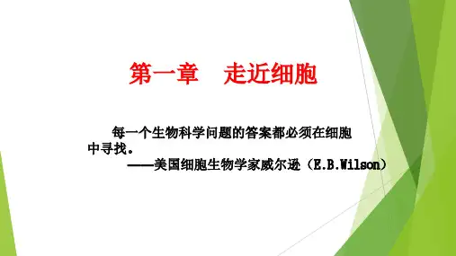新人教版(2019)生物必修一第1章第1节细胞是生命活动的基本单位