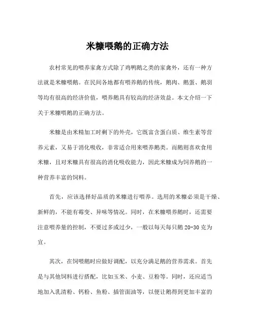 米糠喂鹅的正确方法