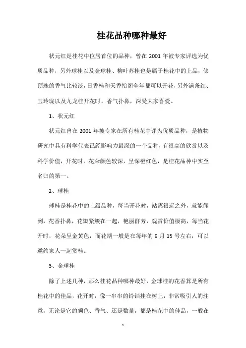 桂花品种哪种最好
