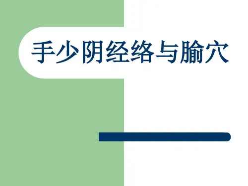 手少阴经络与腧穴