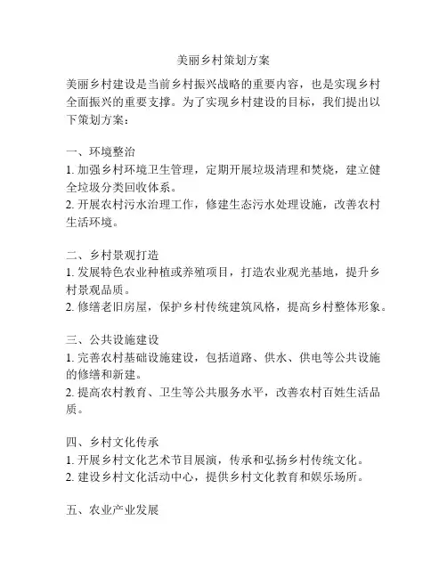 美丽乡村策划方案