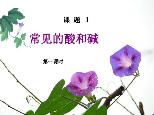 常见的酸和碱课件PPT课件