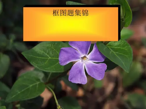 高中化学专题复习—高考框图题集锦课件