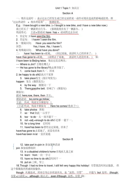 仁爱九年级全册知识总结