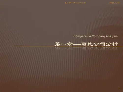 可比公司分析——投行估值经典理论及实践