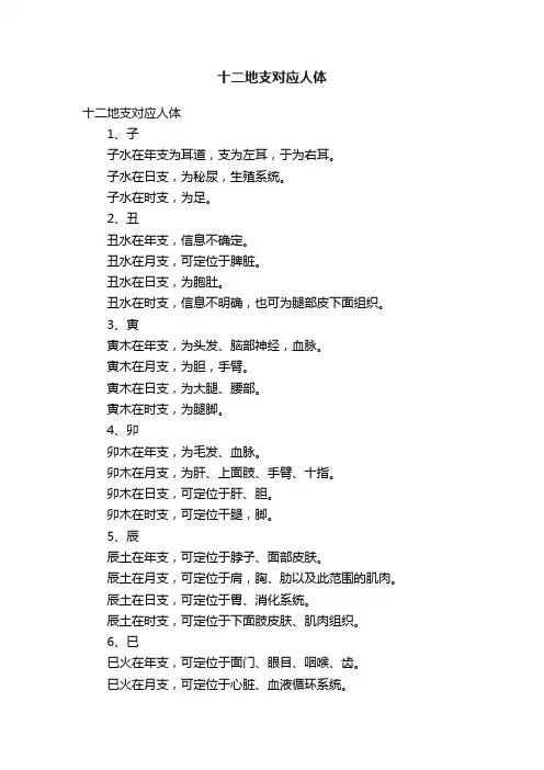 十二地支对应人体