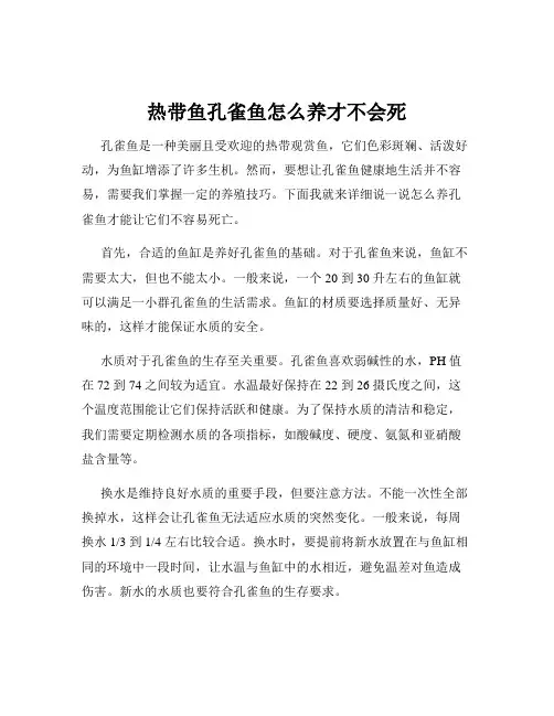 热带鱼孔雀鱼怎么养才不会死