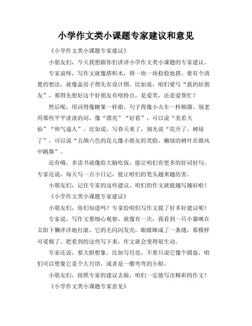 小学作文类小课题专家建议和意见