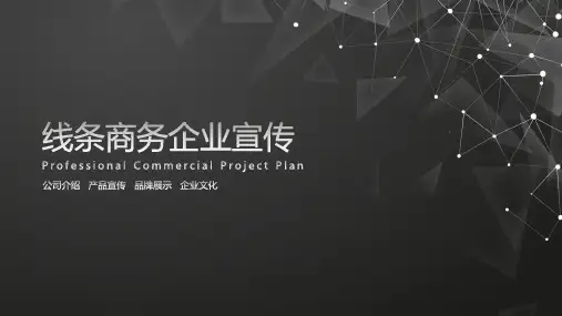 传媒公司简介模板模板ppt