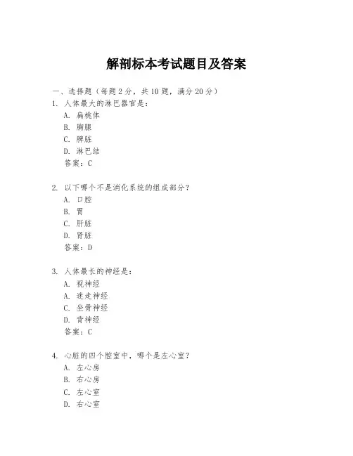 解剖标本考试题目及答案