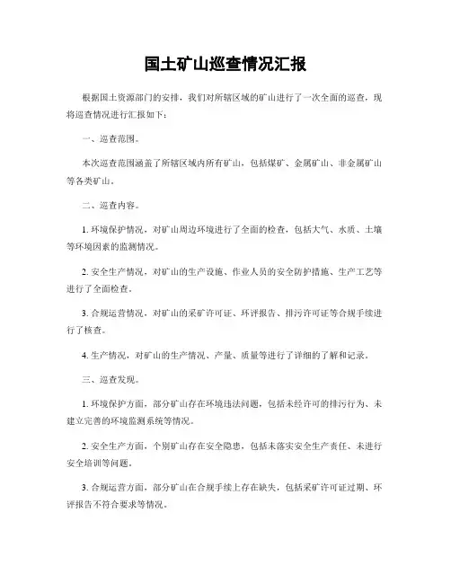 国土矿山巡查情况汇报