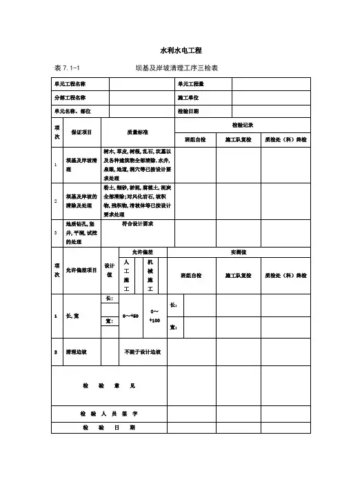 水库及堤防水利三检表全