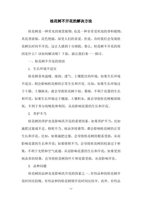 桂花树不开花的解决方法