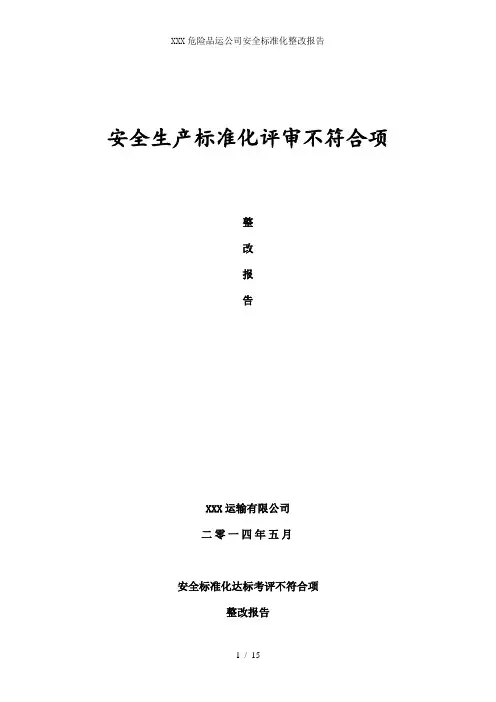 XXX危险品运公司安全标准化整改报告