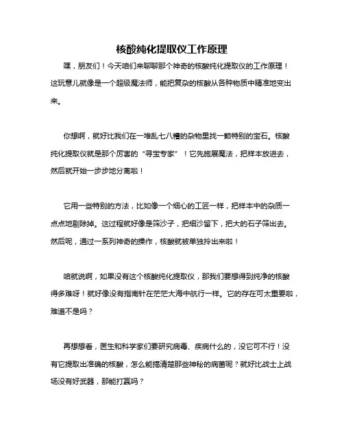 核酸纯化提取仪工作原理