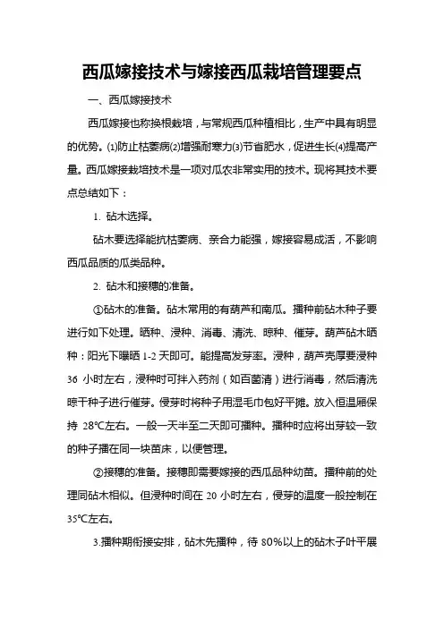 西瓜嫁接技术与嫁接西瓜栽培管理要点