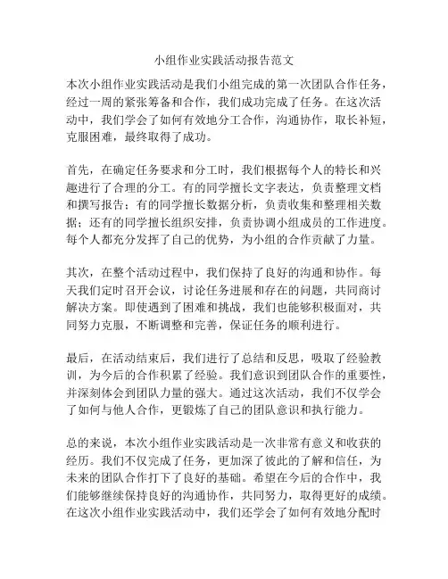 小组作业实践活动报告范文