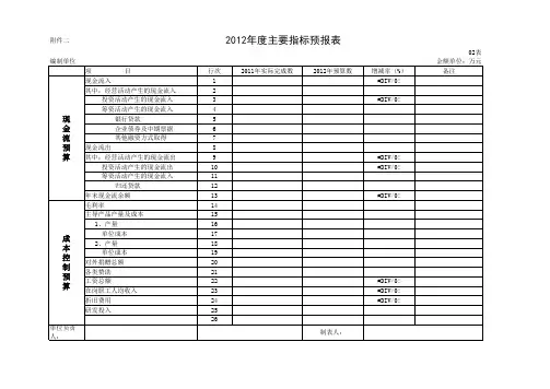 国资委财务预算报表模板