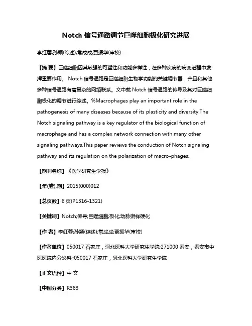Notch 信号通路调节巨噬细胞极化研究进展