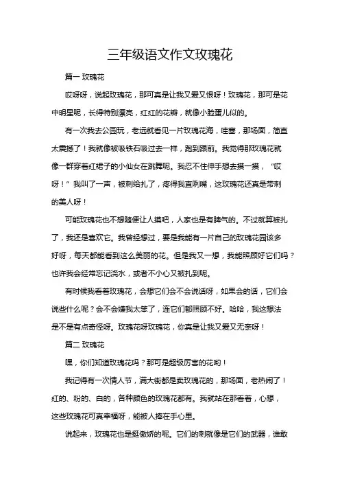 三年级语文作文玫瑰花