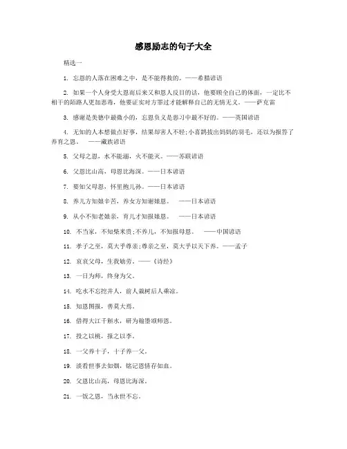 感恩励志的句子大全