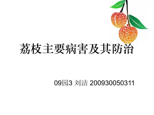 荔枝主要病害及其