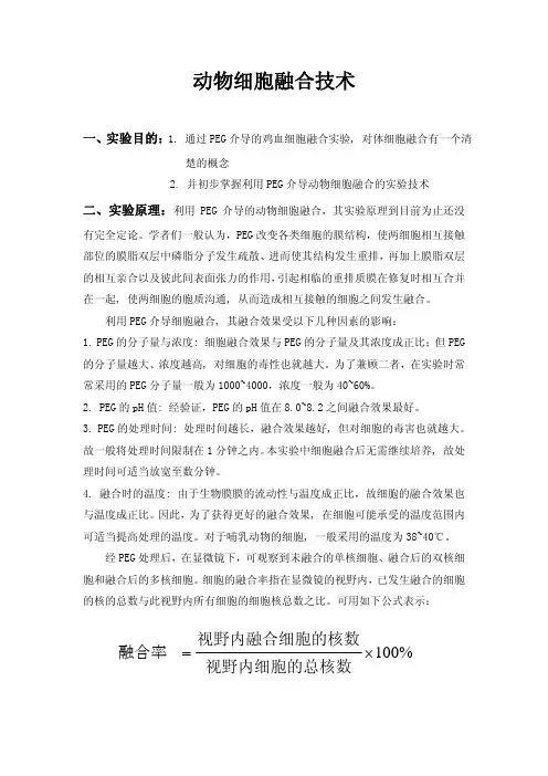 动物细胞融合技术