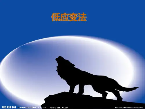 低应变反射波法PPT课件
