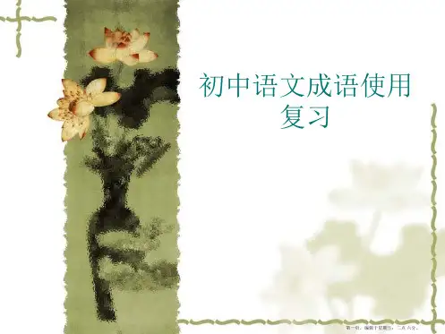 初中语文成语使用复习课件