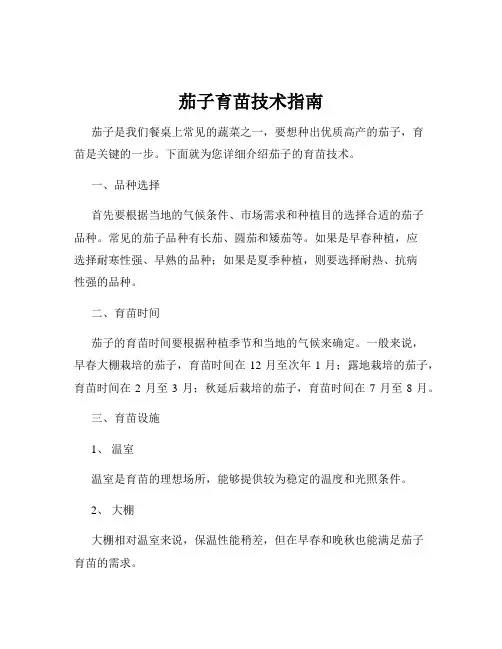 茄子育苗技术指南