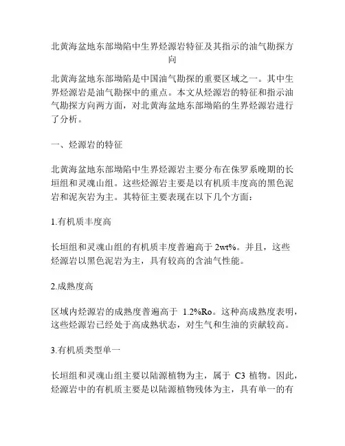 北黄海盆地东部坳陷中生界烃源岩特征及其指示的油气勘探方向
