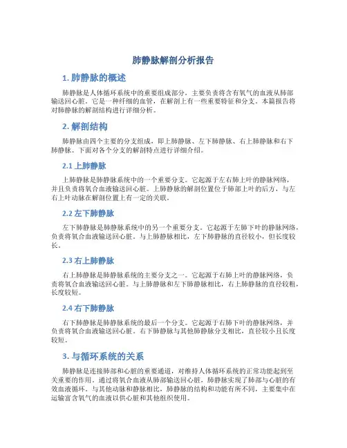 肺静脉解剖分析报告