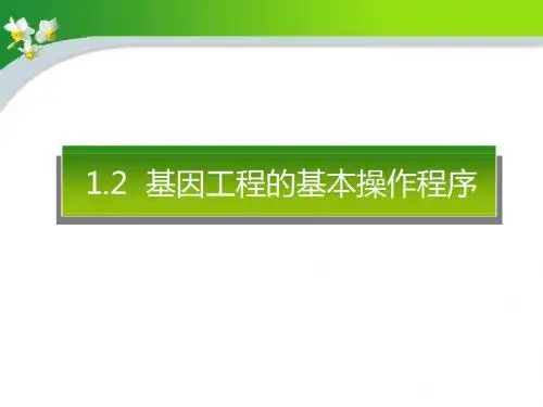 1.2基因工程的基本操作程序