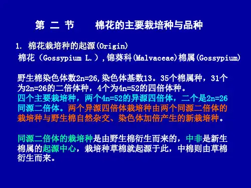 棉花栽培种起源-PPT课件