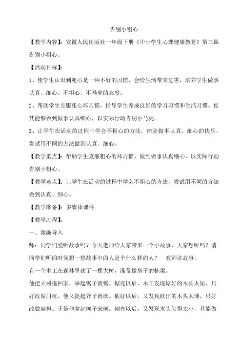 告别小粗心 教案