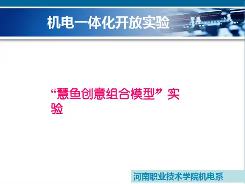 “慧鱼创意组合模型”实验