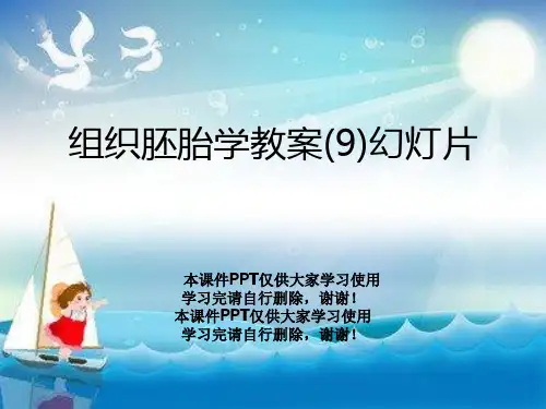 组织胚胎学教案(9)幻灯片
