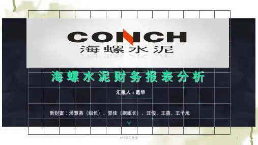 海螺水泥财务报表分析汇报ppt课件