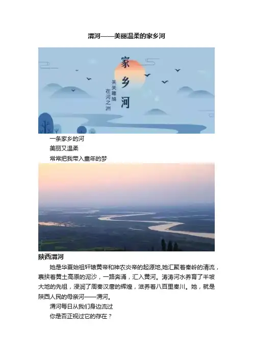 渭河——美丽温柔的家乡河