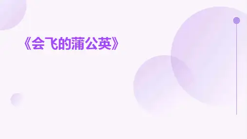 《会飞的蒲公英》ppt