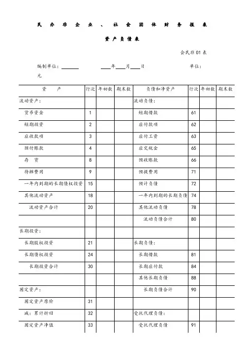 社会团体财务报表