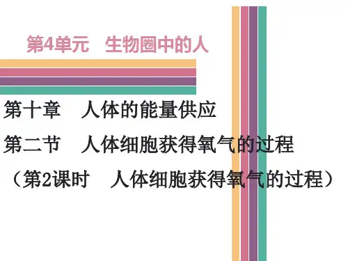 北师大版七年级下册生物第十章人体的能量供应第二节人体细胞获得氧气的过程 第2课时导学课件