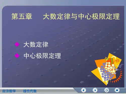 5第五章 大数定律与中心极限定律PPT课件