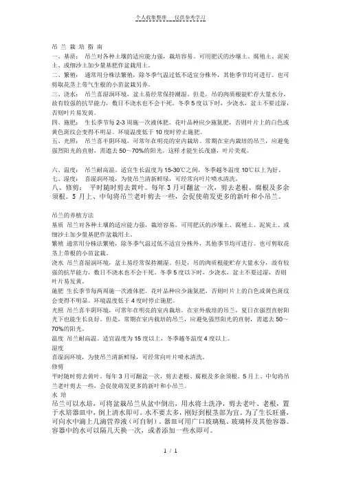 吊兰栽培指南