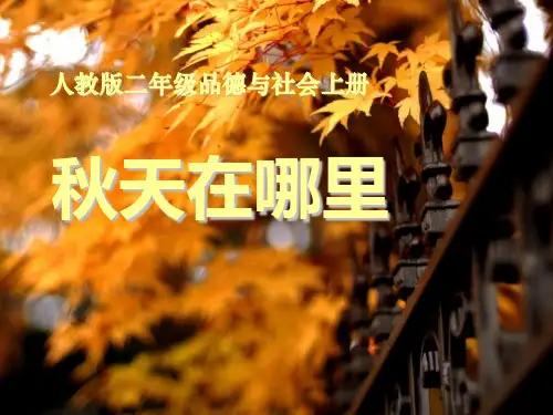 《秋天在哪里》金色的秋天精品课件4