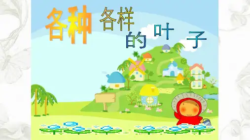 各种各样的叶子ppt课件