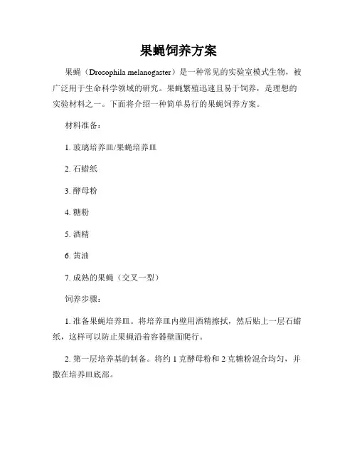 果蝇饲养方案